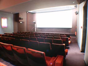 Grand Action - salle Henri Ginet